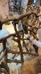 -奇幻萌宠部落(映月湖环宇城店)