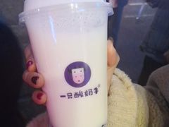 -一只酸奶牛(八一路店)