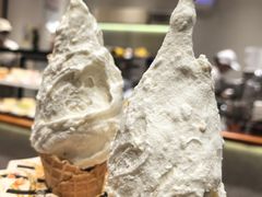 -野人先生现做冰淇淋(北京环宇荟店)