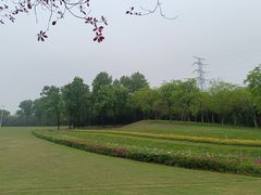 -紫马岭公园