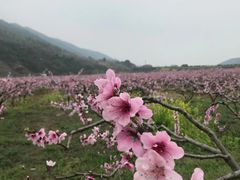 -青林口古镇