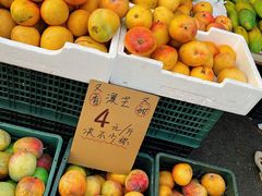 -红星农博物流中心