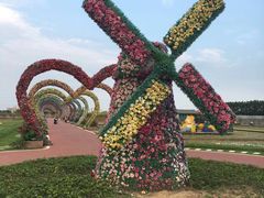 -迪茵湖田家舍生态农场