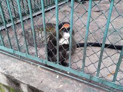 -秦皇岛野生动物园