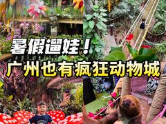 -正佳雨林生态植物园