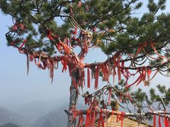 -商洛老君山旅游风景区