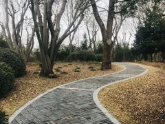 -朴园