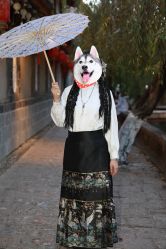 -小红帽摄影(丽江店)