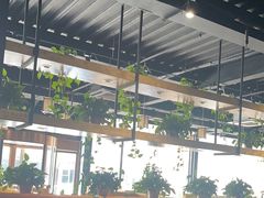 -桃源村铁锅炖鱼(体育馆道店)