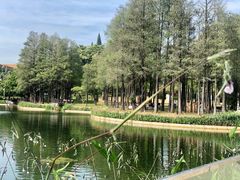 -四海公园(南山区)