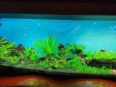 -太平洋海底世界