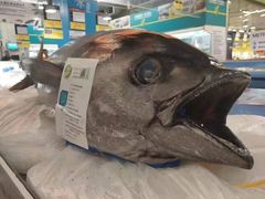 -麦德龙(湖里店)