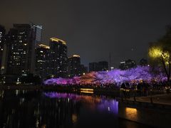 -西北湖绿化广场
