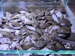 -聚盛源蒸汽海鲜火锅烤肉自助(巨川金海岸购物广场店)