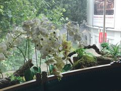 -沪小胖小龙虾(淮海中路旗舰店)