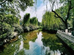 -趵突泉景区
