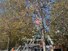 -墨尔本之星 观景摩天轮