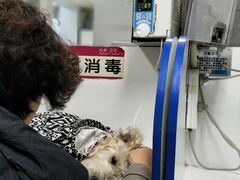 -北京观赏动物医院·24小时大型综合·猫专科·异宠专科
