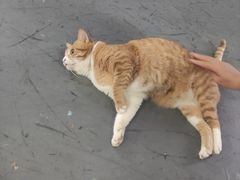 -蓝天射箭馆·专业射箭运动(诚丰广场店)