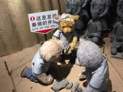 -成都泰迪熊博物馆
