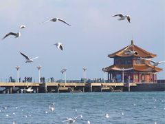 1279611417-老味道民宿(栈桥店)