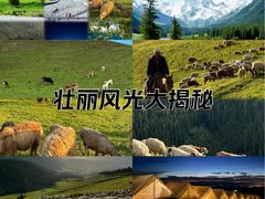 -伊犁河风景区