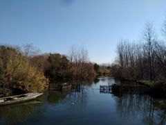 -溱湖国家湿地公园