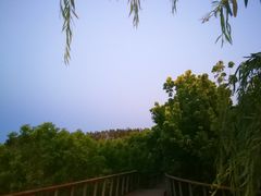 -东郊湿地公园