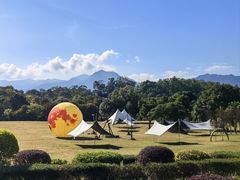 -福建鲤鱼洲酒店