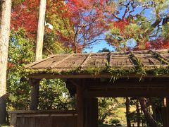 -水前寺成趣园