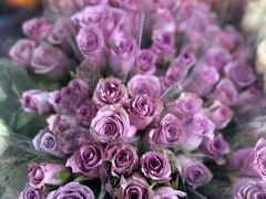 -循礼门鲜花花市(武汉循礼门店)