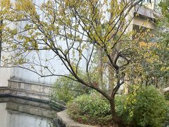 -广富林宰相府酒店·水云间