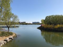 -大兴滨河森林公园