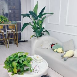 -IDEA·艾蒂尔科技美肤·日式美甲美睫集合店