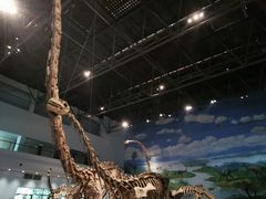 -自贡恐龙博物馆