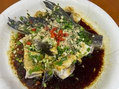 -全乐鱼馆·淳牌有机鱼直营店