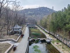 -白水寺森林公园
