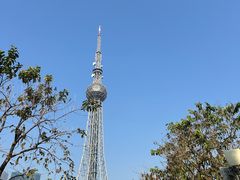 -文华公园(禅城区)