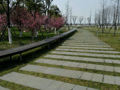 -滆湖低碳生态公园