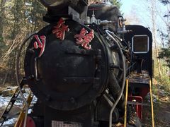 -五营红松林海景区