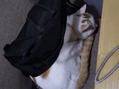 -B.O.M波姆烘焙(凤凰街店)