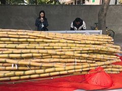 -白鹭湾湿地公园