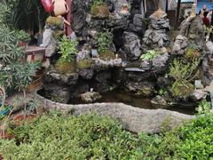 -桂林市花鸟市场