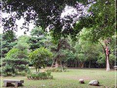 -广东茂名森林公园