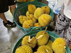 -曼阁市场水果批发市场
