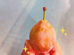 -砂之船奥特莱斯(合肥店)