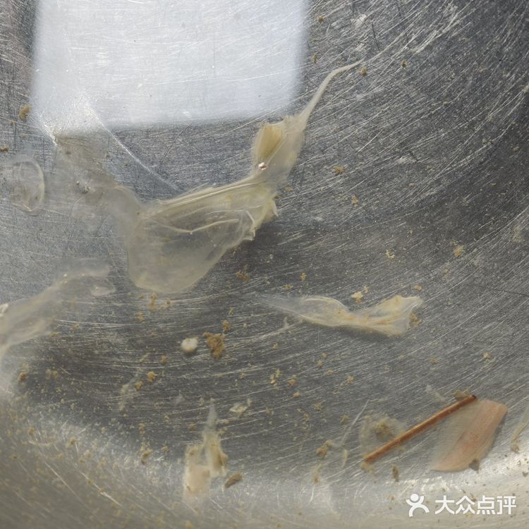 真正渤海湾海捕对虾制作，《大虾烧白菜》天花板