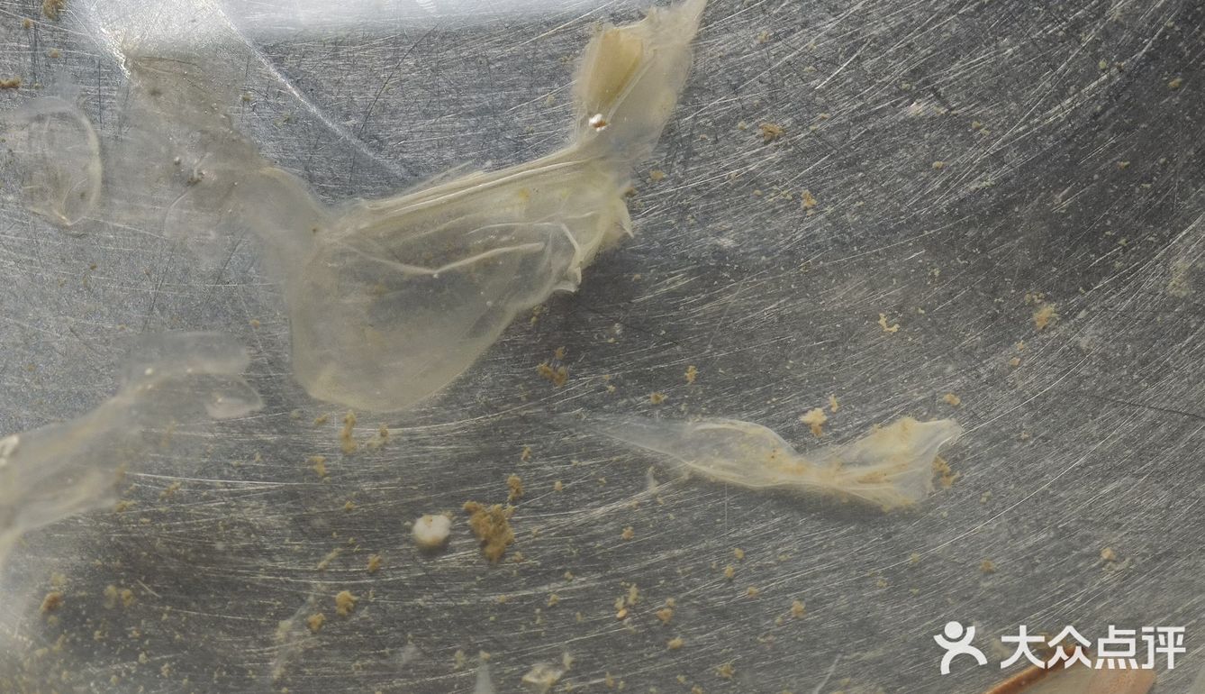 真正渤海湾海捕对虾制作，《大虾烧白菜》天花板