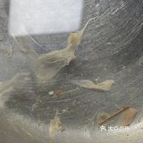 真正渤海湾海捕对虾制作，《大虾烧白菜》天花板