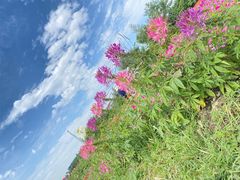 -呼伦湖旅游景区